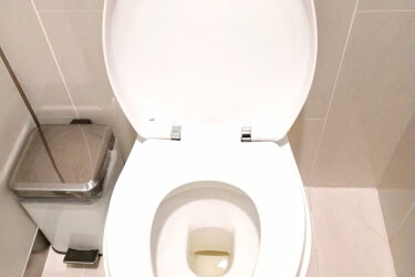 How Inspecting Your Toilet Can Save You Money